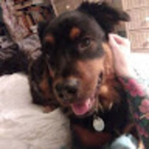 Meet your Posher, Richard